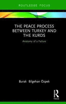 bokomslag Peace Process between Turkey and the Kurds