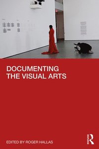 bokomslag Documenting the Visual Arts