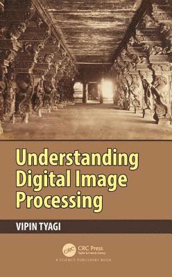 bokomslag Understanding Digital Image Processing