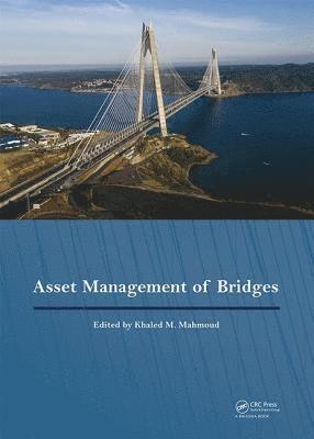 bokomslag Asset Management of Bridges