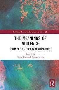 bokomslag The Meanings of Violence
