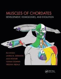 bokomslag Muscles of Chordates