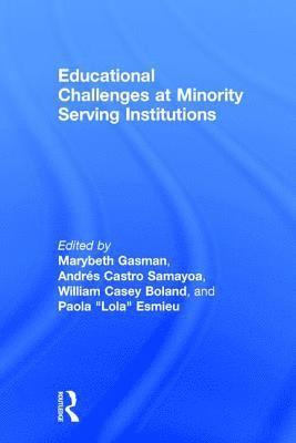 bokomslag Educational Challenges at Minority Serving Institutions