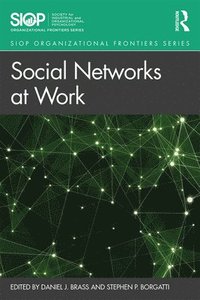 bokomslag Social Networks at Work