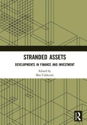 bokomslag Stranded Assets
