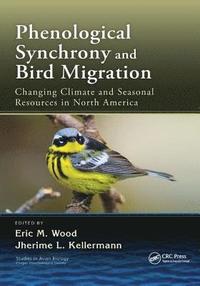 bokomslag Phenological Synchrony and Bird Migration