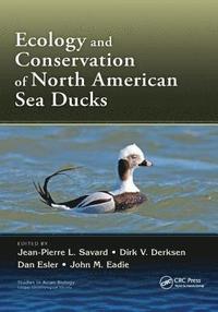 bokomslag Ecology and Conservation of North American Sea Ducks