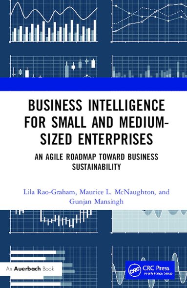 Lila Rao-Graham, Maurice L. McNaughton, Gunjan Mansingh - Business Intelligence for Small and Medium-Sized Enterprises, Inbunden