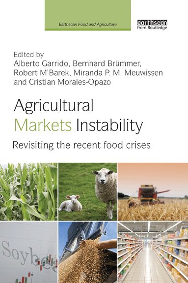Alberto Garrido, Bernhard Brümmer, Robert M'Barek, Miranda Meuwissen, Cristian Morales-Opazo - Agricultural Markets Instability, Häftad