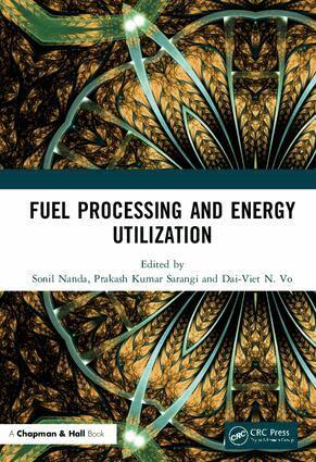 Sonil Nanda, Prakash Kumar Sarangi, Dai-Viet N. Vo - Fuel Processing and Energy Utilization, Inbunden