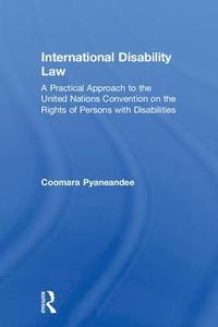 bokomslag International Disability Law