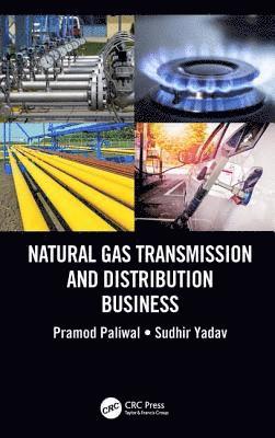 Natural Gas Transmission and Distribution Business 1