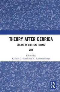 bokomslag Theory after Derrida