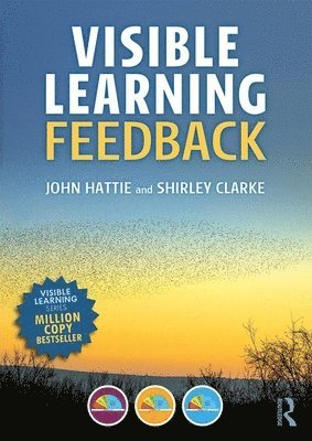 bokomslag Visible Learning: Feedback