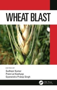 bokomslag Wheat Blast