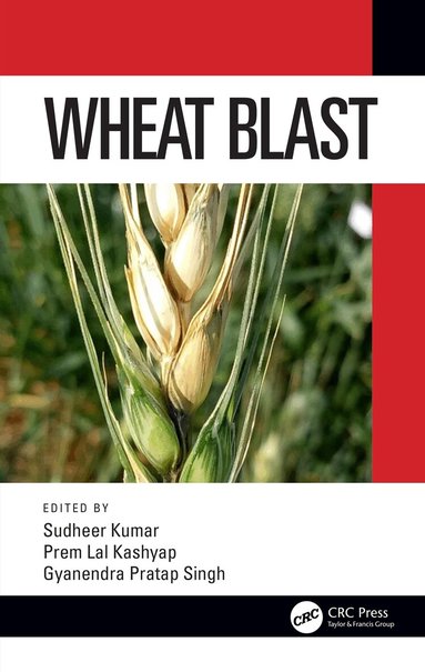 Sudheer Kumar, Prem Lal Kashyap, Gyanendra Pratap Singh - Wheat Blast, Inbunden