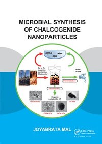 bokomslag Microbial Synthesis of Chalcogenide Nanoparticles