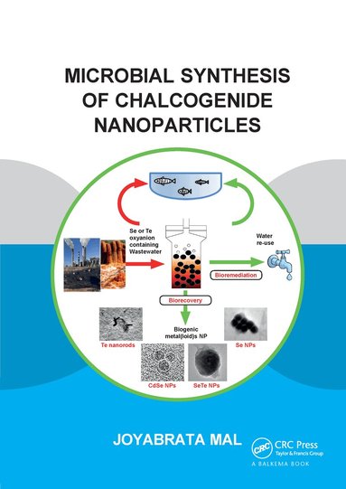 Joyabrata Mal - Microbial Synthesis of Chalcogenide Nanoparticles, Häftad