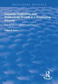 bokomslag Capacity Realization and Productivity Growth in a Developing Country