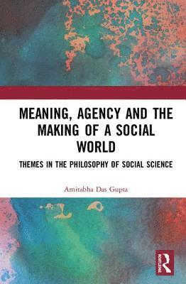 bokomslag Meaning, Agency and the Making of a Social World