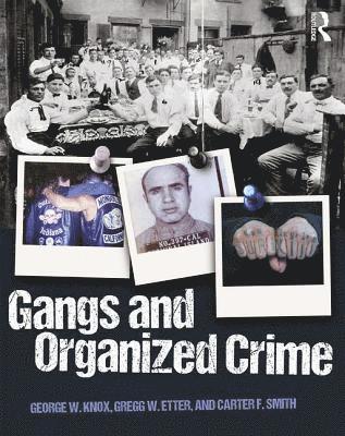 bokomslag Gangs and Organized Crime