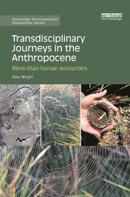 Transdisciplinary Journeys in the Anthropocene 1