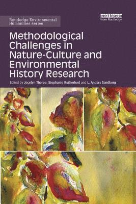 bokomslag Methodological Challenges in Nature-Culture and Environmental History Research