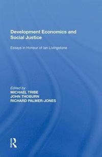 bokomslag Development Economics and Social Justice