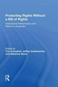bokomslag Protecting Rights Without a Bill of Rights