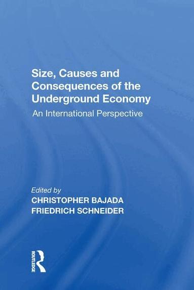 Friedrich Schneider - Size, Causes and Consequences of the Underground Economy, Häftad