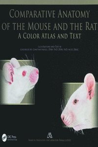 bokomslag Comparative Anatomy of the Mouse and the Rat