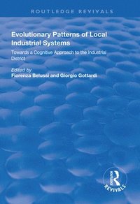 bokomslag Evolutionary Patterns of Local Industrial Systems