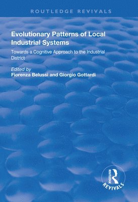 Evolutionary Patterns of Local Industrial Systems 1