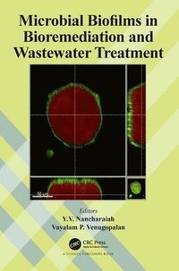 bokomslag Microbial Biofilms in Bioremediation and Wastewater Treatment