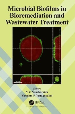 Microbial Biofilms in Bioremediation and Wastewater Treatment 1