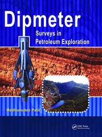 bokomslag Dipmeter Surveys in Petroleum Exploration