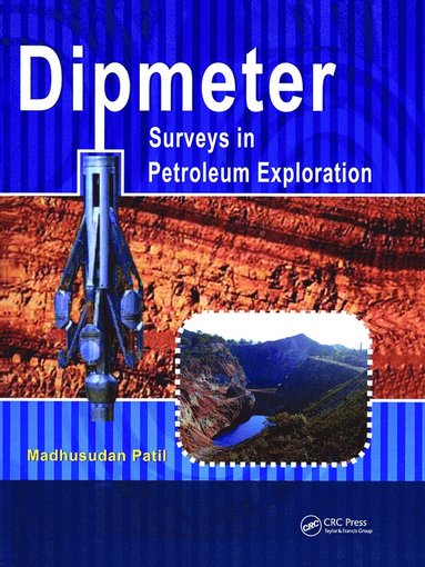 bokomslag Dipmeter Surveys in Petroleum Exploration