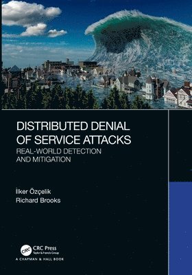 Distributed Denial of Service Attacks 1