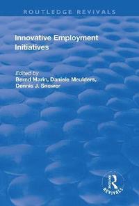 bokomslag Innovative Employment Initiatives