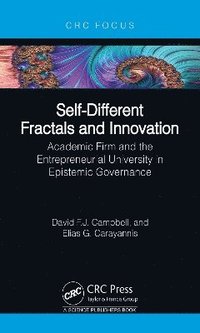 bokomslag Self-Different Fractals and Innovation