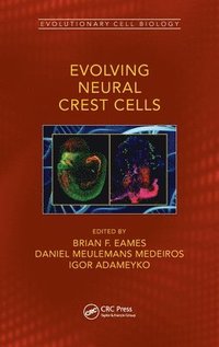 bokomslag Evolving Neural Crest Cells