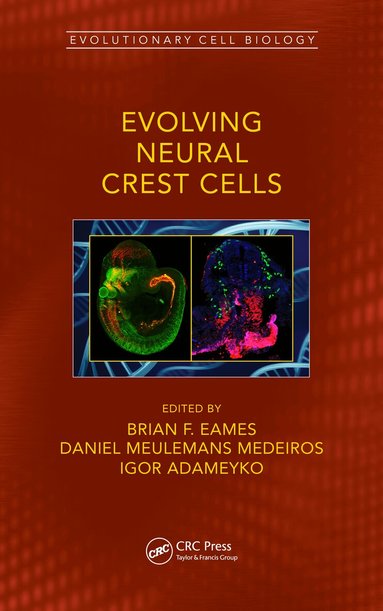 Brian Frank Eames, Daniel Meulemans Medeiros, Igor Adameyko - Evolving Neural Crest Cells, Inbunden