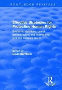 bokomslag Effective Strategies for Protecting Human Rights