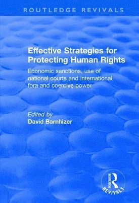 bokomslag Effective Strategies for Protecting Human Rights