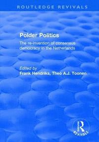 bokomslag Polder Politics