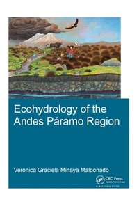 bokomslag Ecohydrology of the Andes Pramo Region