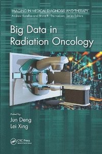 bokomslag Big Data in Radiation Oncology