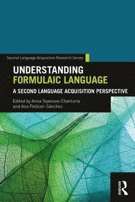 bokomslag Understanding Formulaic Language