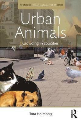 bokomslag Urban Animals