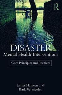bokomslag Disaster Mental Health Interventions